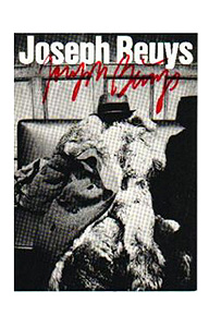 Joseph Beuys: I like America