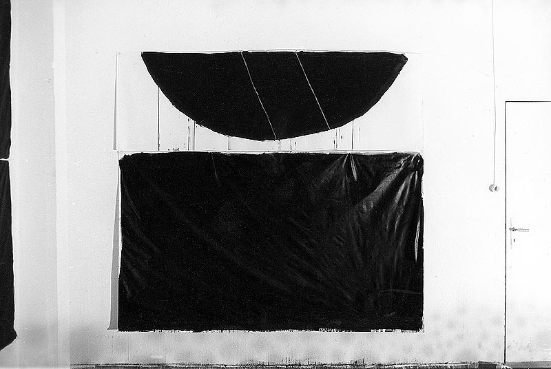 Carl Peter: Das schwarze Vlies 2